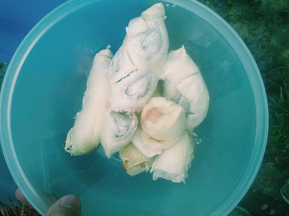 malaysian food, malaysian dishes, Durian .Street food in Southeast Asia, malaysian food, malaysian dishes