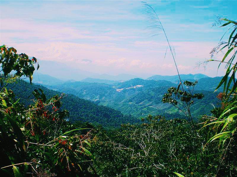 hitchhiking Malaysia, where to sleep in Malaysia, what to do in Malaysia, backpacking Malaysia, things to do in Malaysia, Malaysia on a budget, travel budget to Malaysia, visa for Malaysia, Malaysian food, street food in Malysia