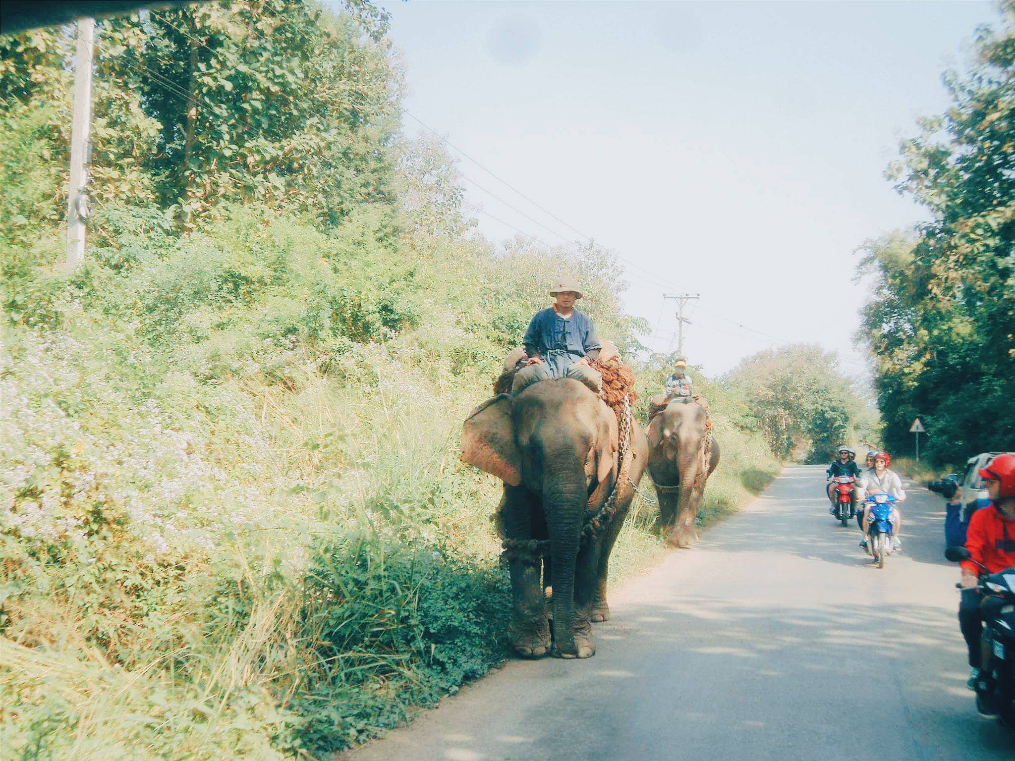 Backpacking Laos, Things to do in Laos, backpacking laos budget, travel guide to laos, hitchhiking in Laos, Laos in a low budget