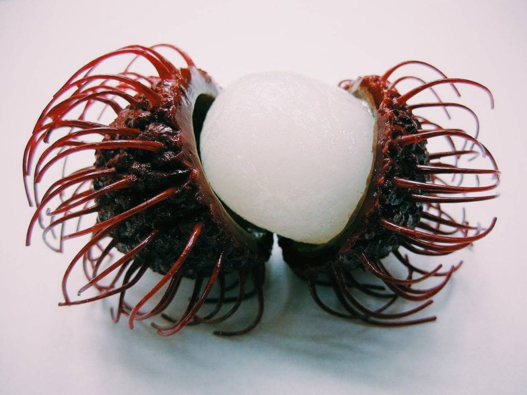 Backpacking Cambodia fruits.