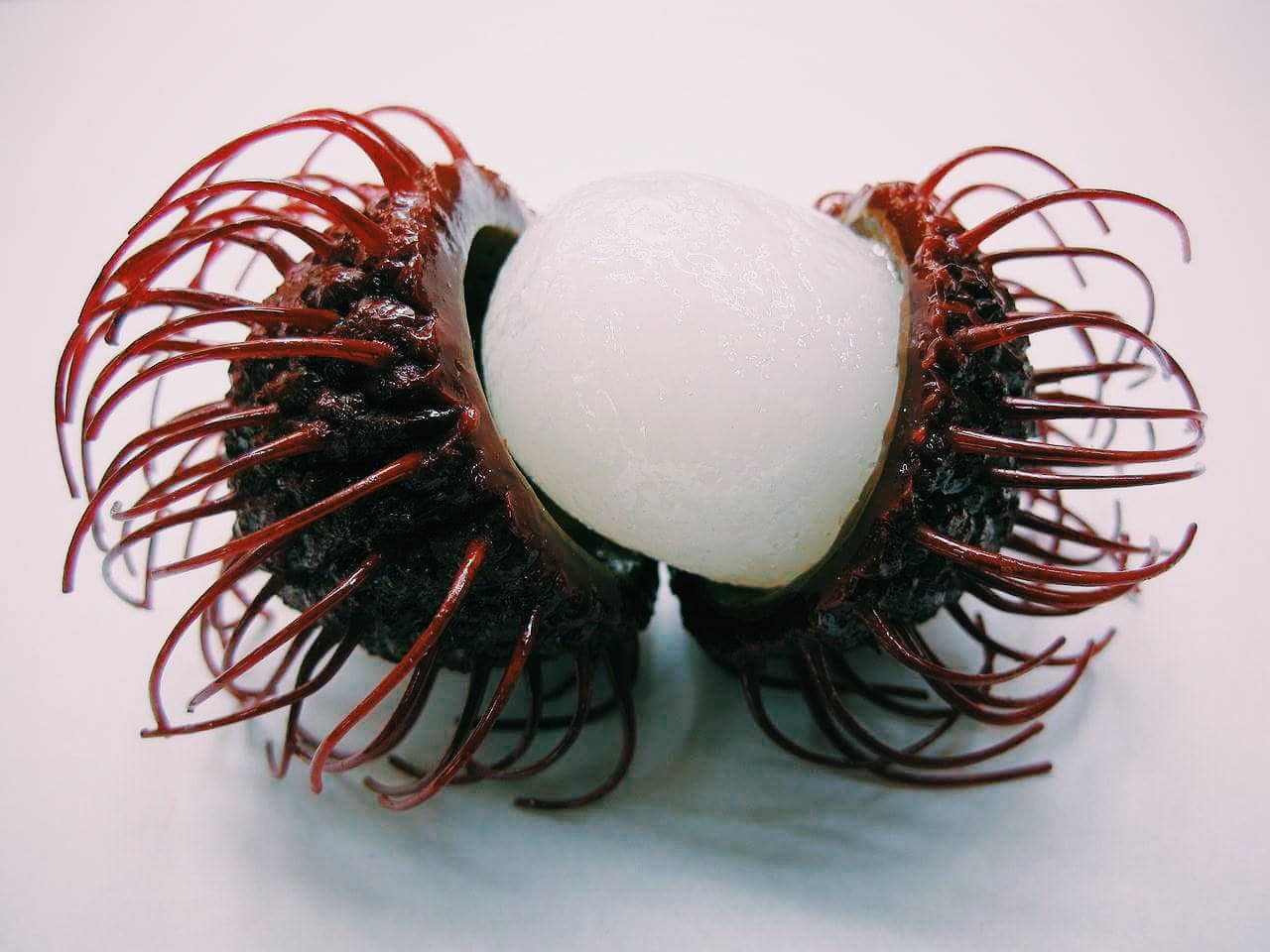 Backpacking Cambodia fruits, Things to do in Cambodia, Cambodia travel guide, backpacking Cambodia, Angkor Watt, what to eat in Cambodia