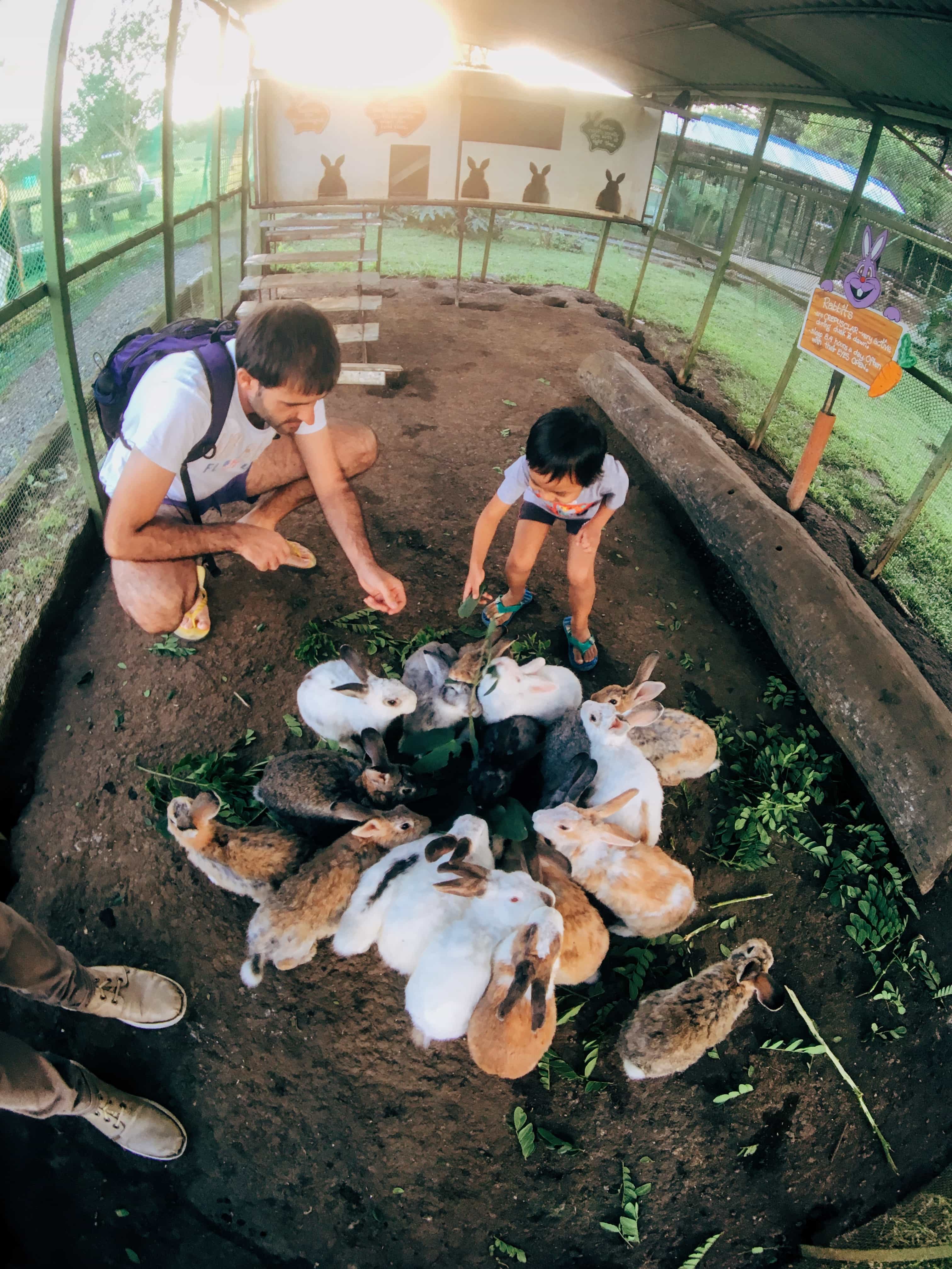 11 Awesome Family Vacation Near Manila 25 Family Vacation near Manila, Hotel Kimberly