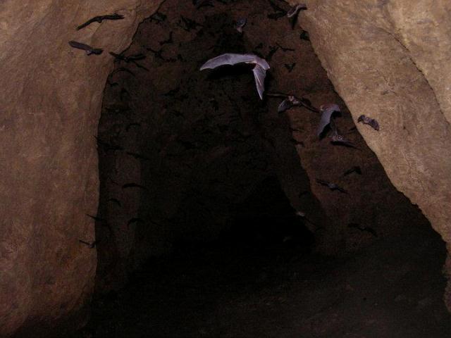 Baga Cave, things to do in Samal Island