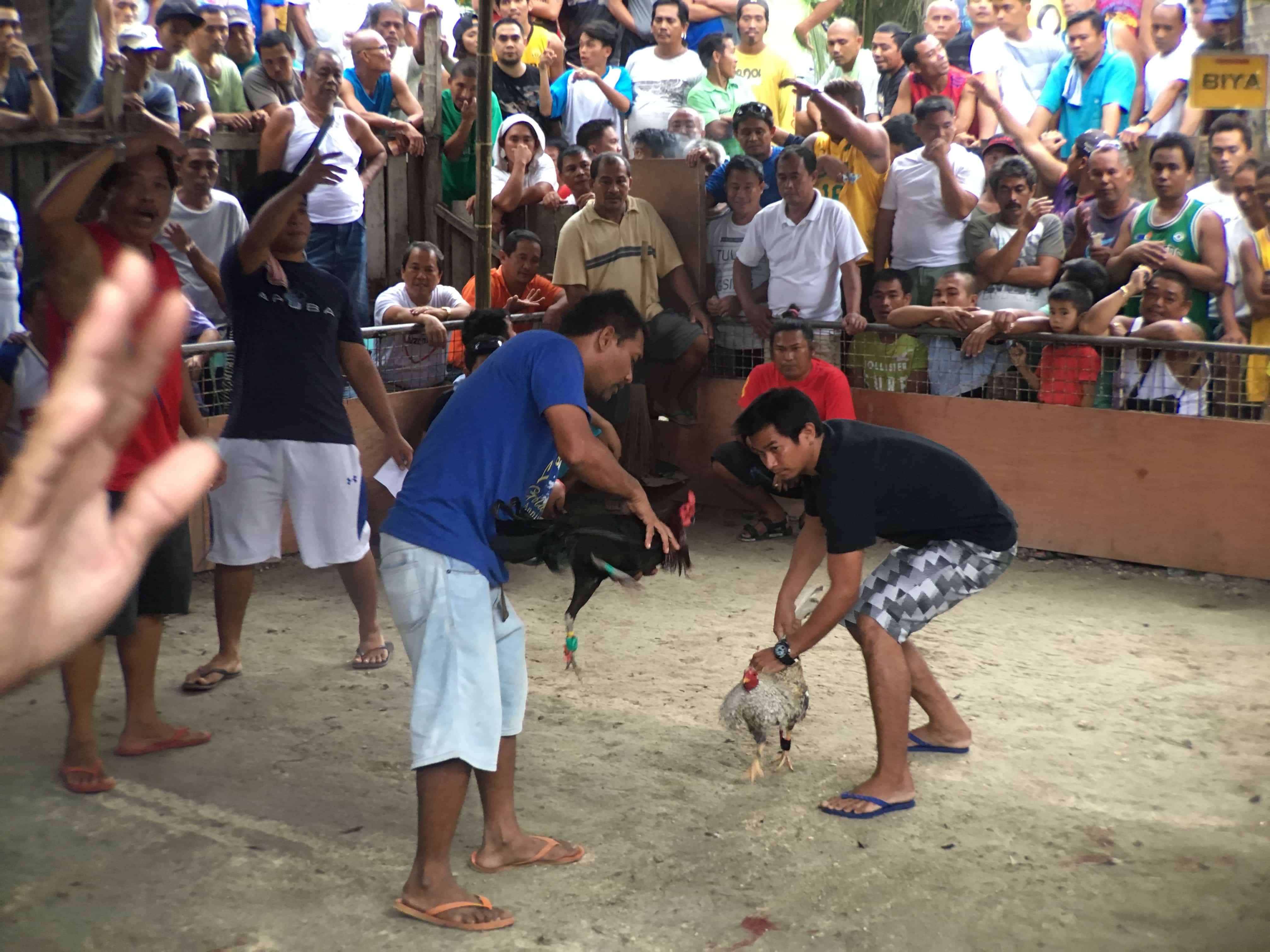 cebu tourist spots, cebu tourist spots and attraction, cebu tourist spots itinerary, cebu tourist spots beaches, places to visit in cebu province, cebu tourist spots map, cebu attractions guide, tourist spots in cebu south, things to do in cebu at night, things to do in Cebu