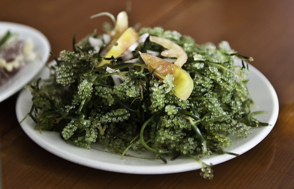 Things to do in Palawan, Places to visit in Palawan, Food to try in Palawan, Lato, Seaweed