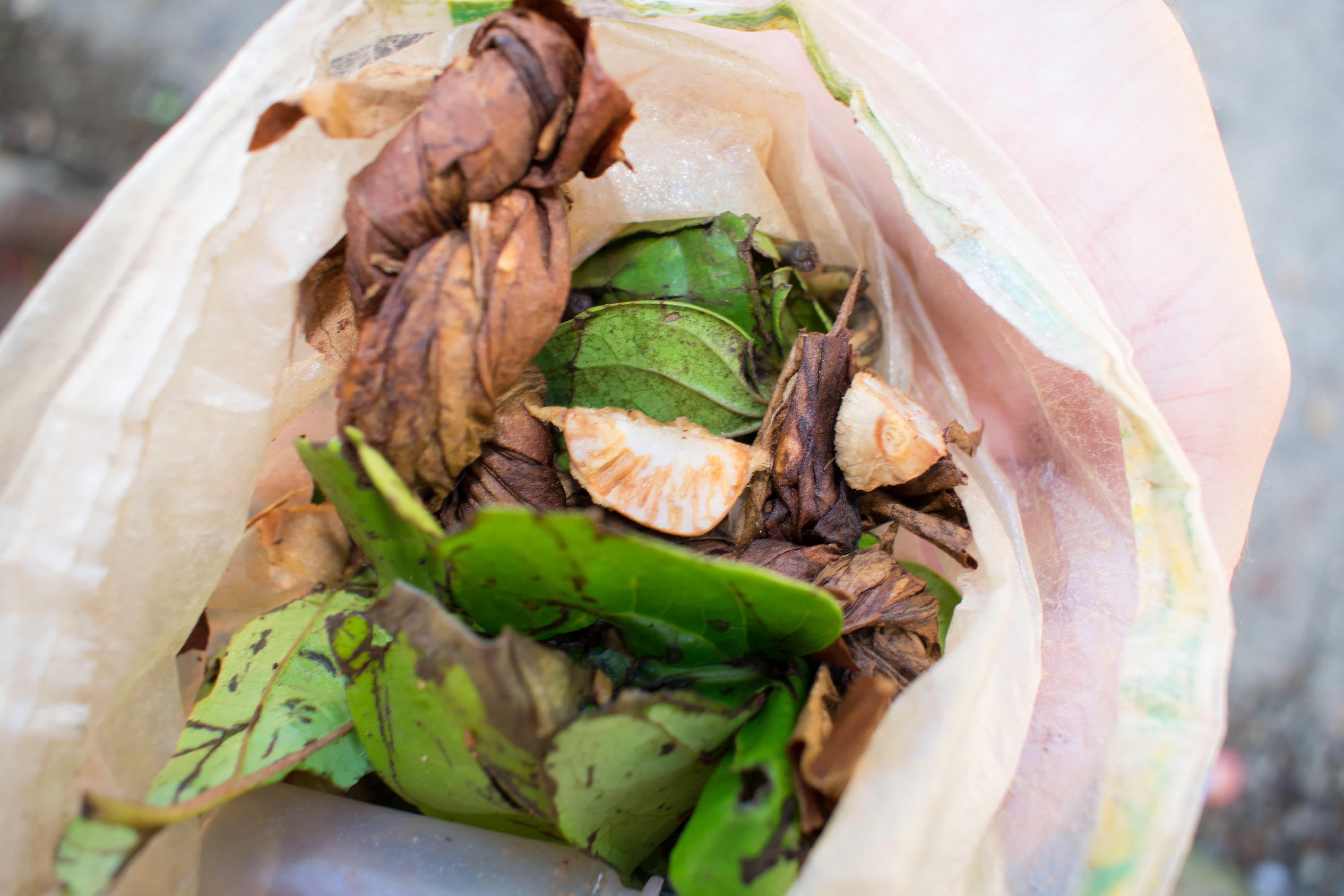 things to do in banaue, banaue rice terraces, banaue rices terraces tour, banaue to manila, manila to banaue, banaue rice terraces hotels, batad rice terraces, rice terraces philippines, manila to sagada, ifugao rice terraces, how to go to sagada, banaue tourist spots, where to eat in banaue, baguio to banaue rice terraces