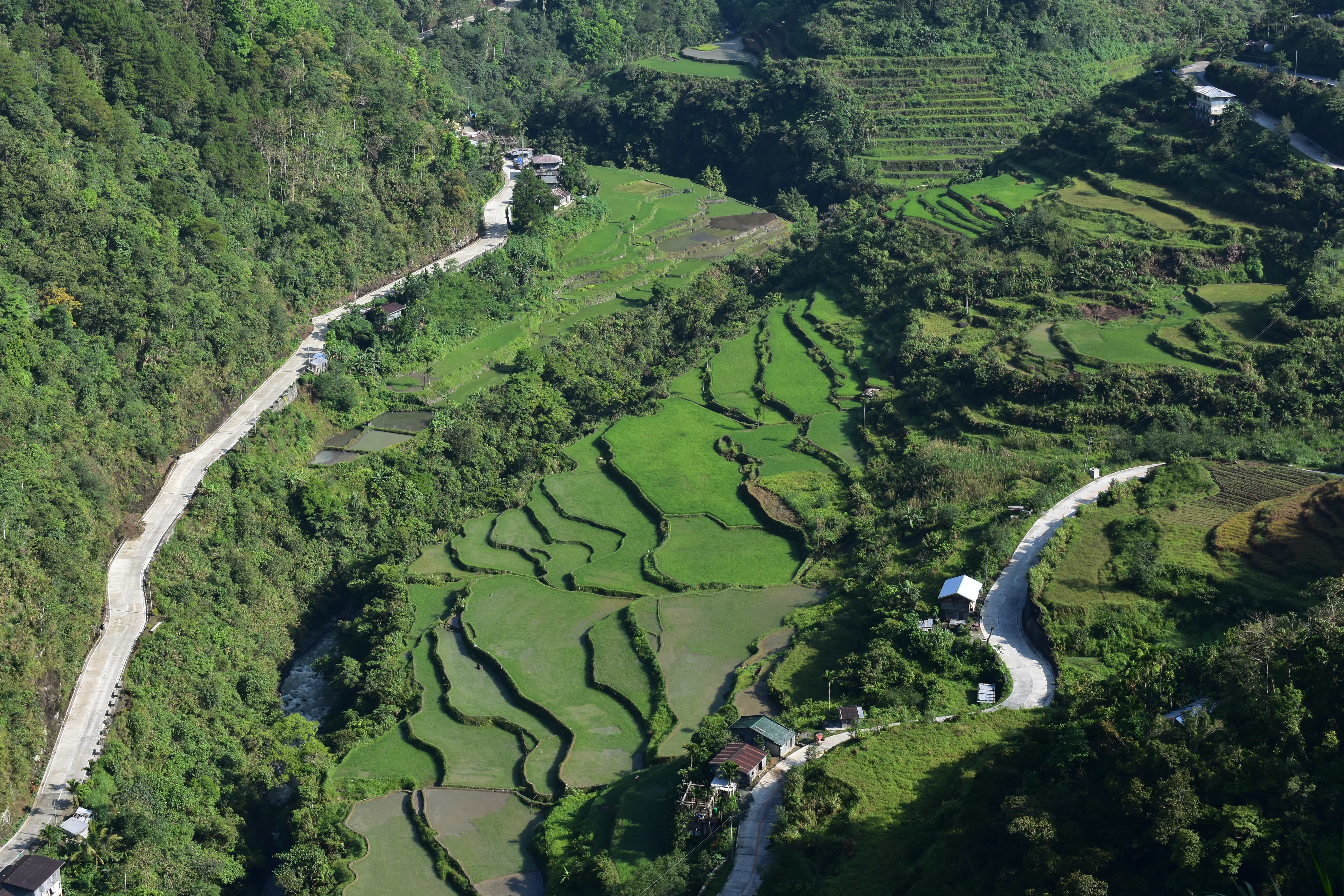 Hapao rice terraces, things to do in banaue, banaue rice terraces, banaue rices terraces tour, banaue to manila, manila to banaue, banaue rice terraces hotels, batad rice terraces, rice terraces philippines, manila to sagada, ifugao rice terraces, how to go to sagada, banaue tourist spots, where to eat in banaue, baguio to banaue rice terraces