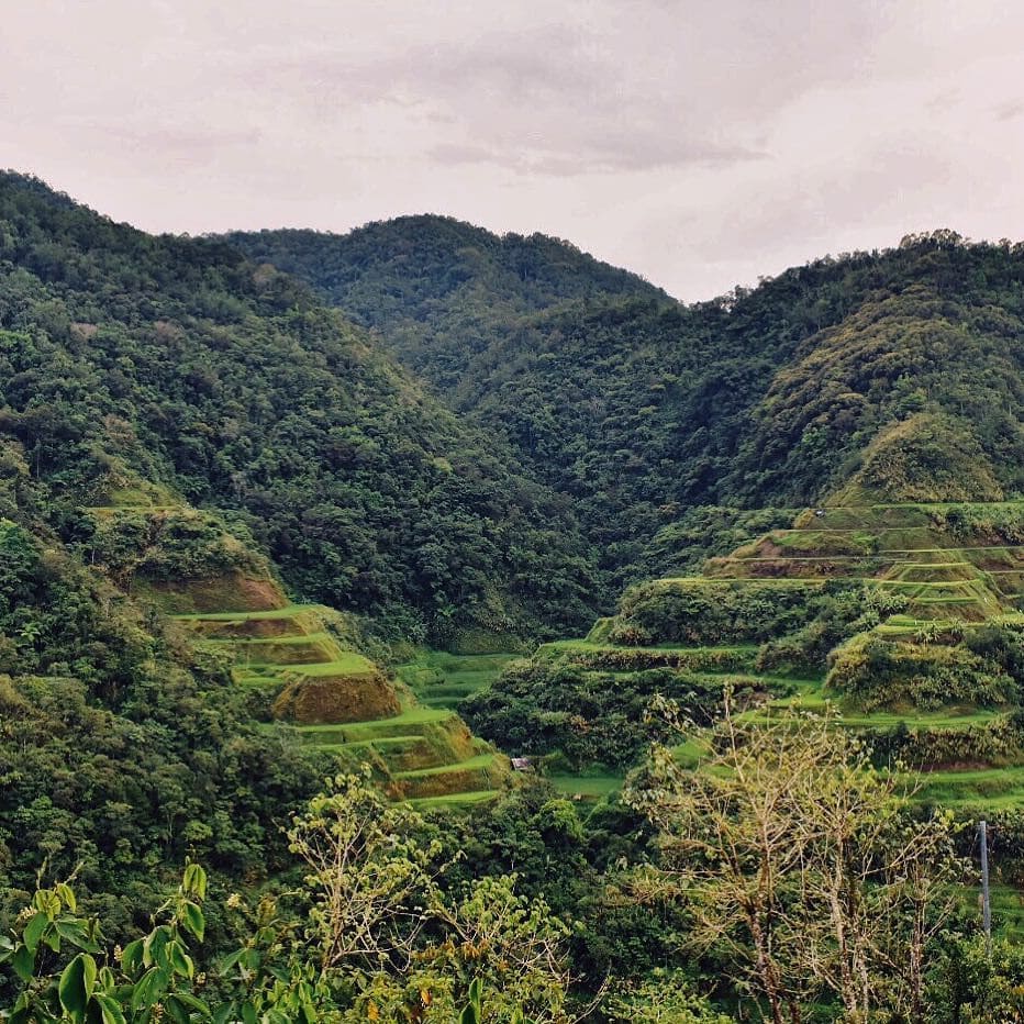 things to do in banaue, banaue rice terraces, banaue rices terraces tour, banaue to manila, manila to banaue, banaue rice terraces hotels, batad rice terraces, rice terraces philippines, manila to sagada, ifugao rice terraces, how to go to sagada, banaue tourist spots, where to eat in banaue, baguio to banaue rice terraces