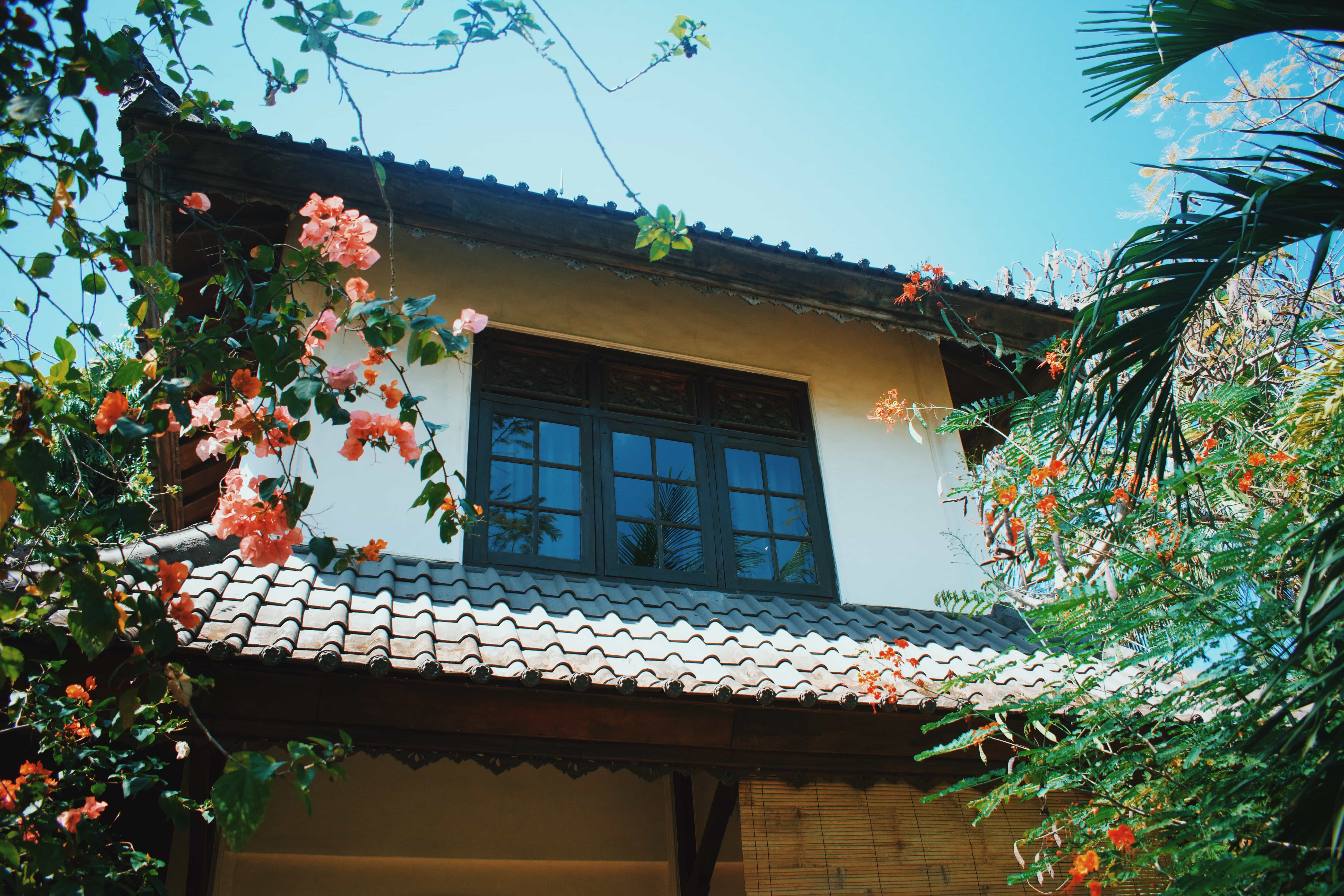 things to do in gili trawangan, how to get to Gili Trawangan, gili trawangan viewpoint, things to do in gili air, places to go in gili trawangan, romantic things to do in gili trawangan, gili islands, gili trawangan booze cruise