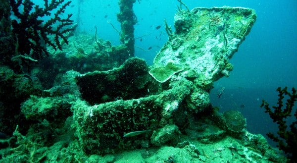 Coron Diving curated 1