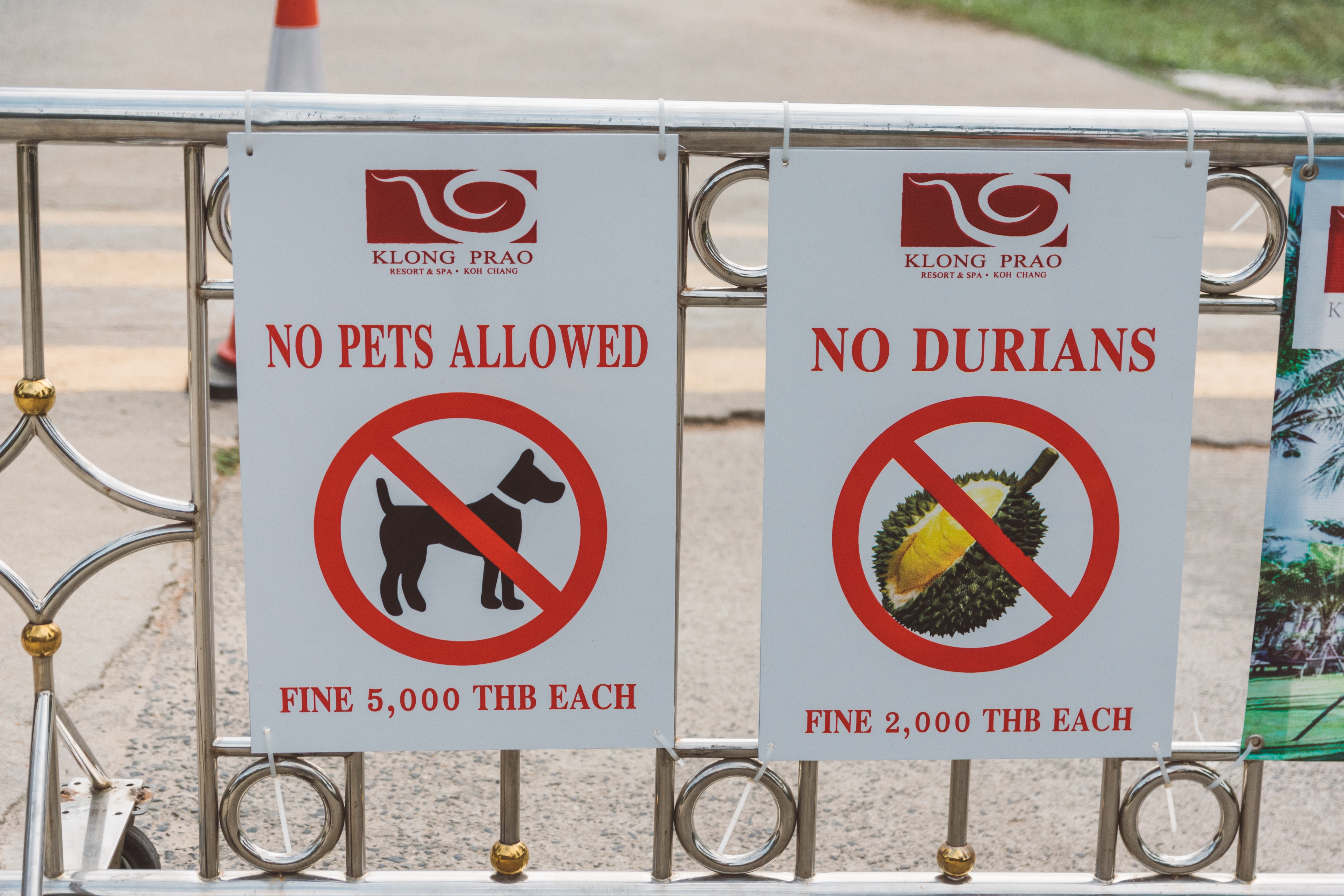 Koh Chang Travel Guide: 8 Cool Things To Do In Koh Chang 10 things to do in koh chang, where to stay in koh chang, how to get to koh chang, where to eat in koh chang