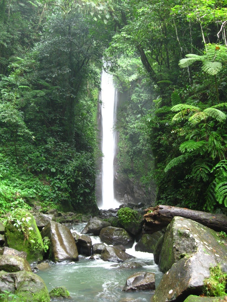 things to do in Dumaguete, places to visit in Dumaguete