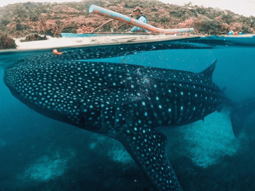  best places to visit in the philippines, tourist spots in the philippines, places to visit in the philippines for couples, where to stay in the Philippines