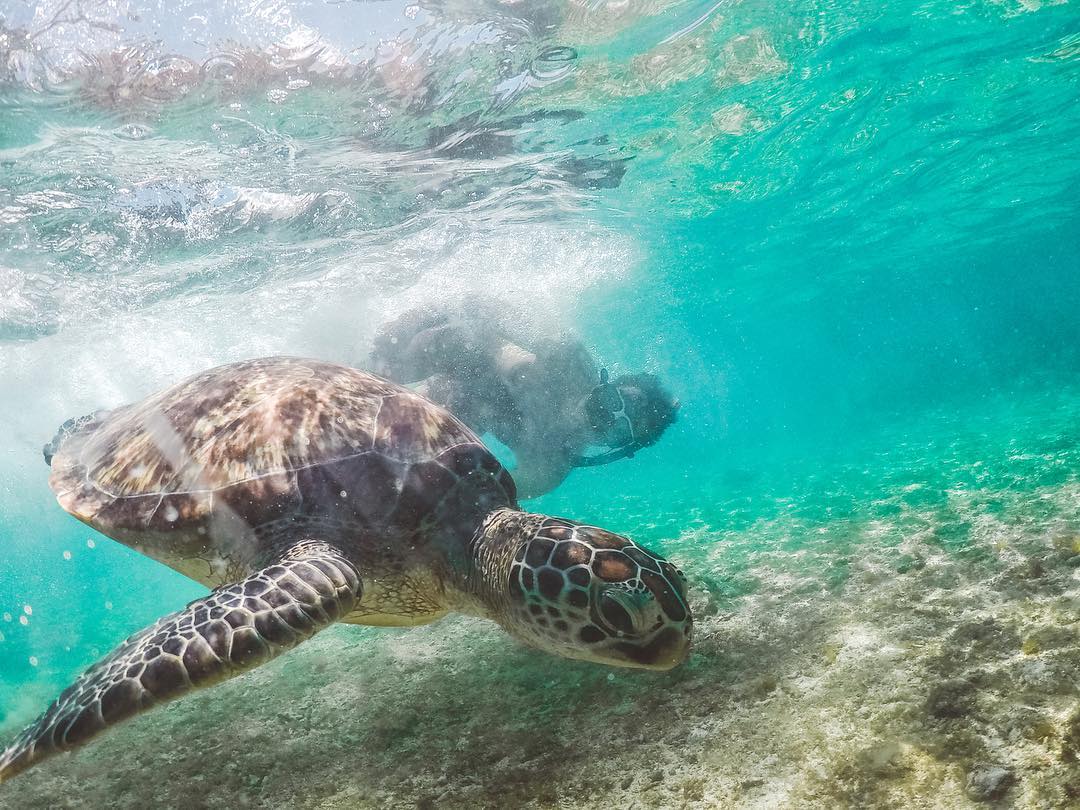 Places to visit in Bohol, Bohol itinerary