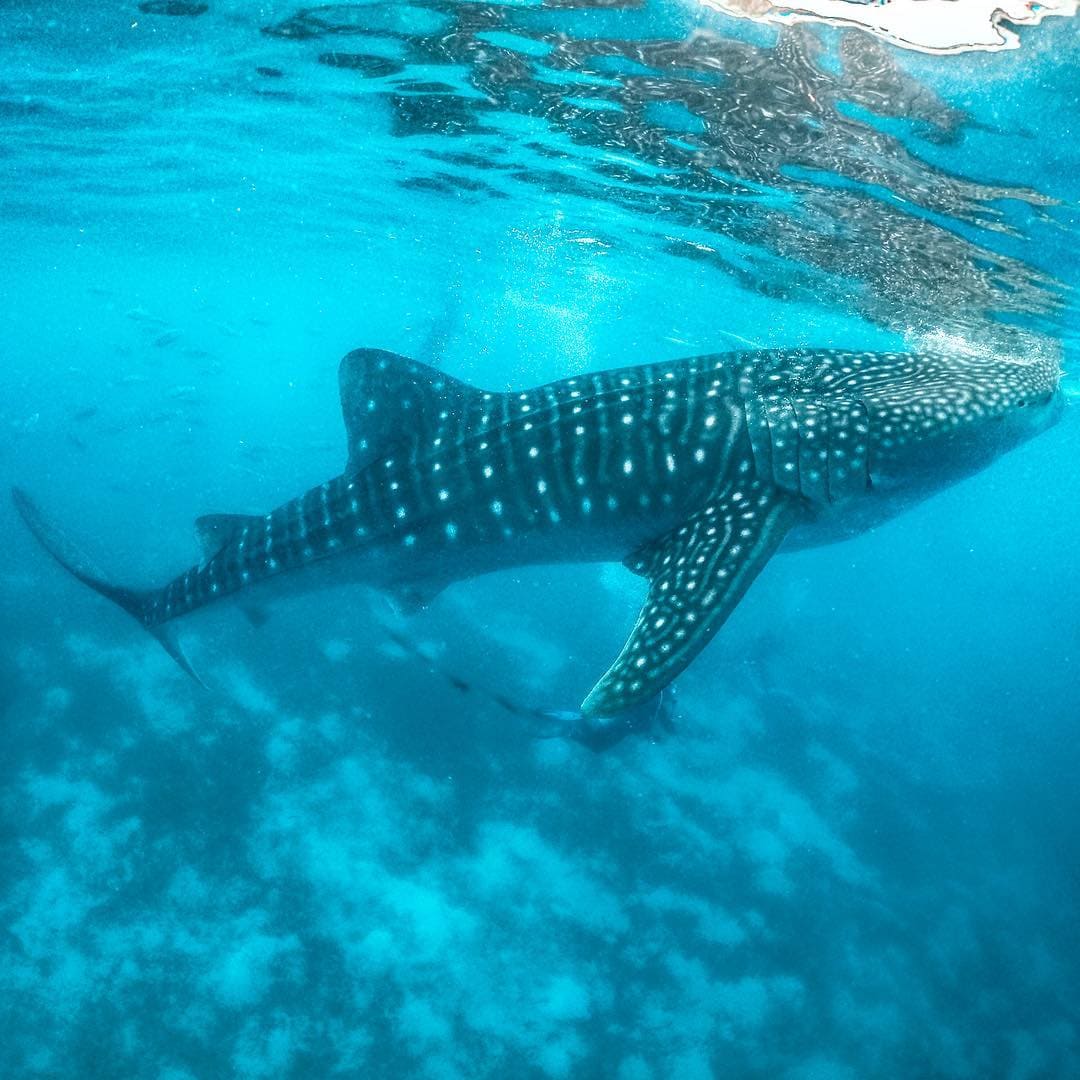 tourist spots in luzon, best places to visit in the philippines, tourist spots in the philippines, places to visit in the philippines for couples, where to stay in the Philippines