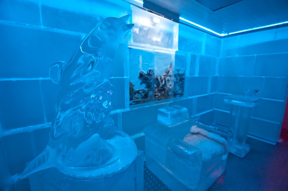 Ice Bar in Madrid, 
