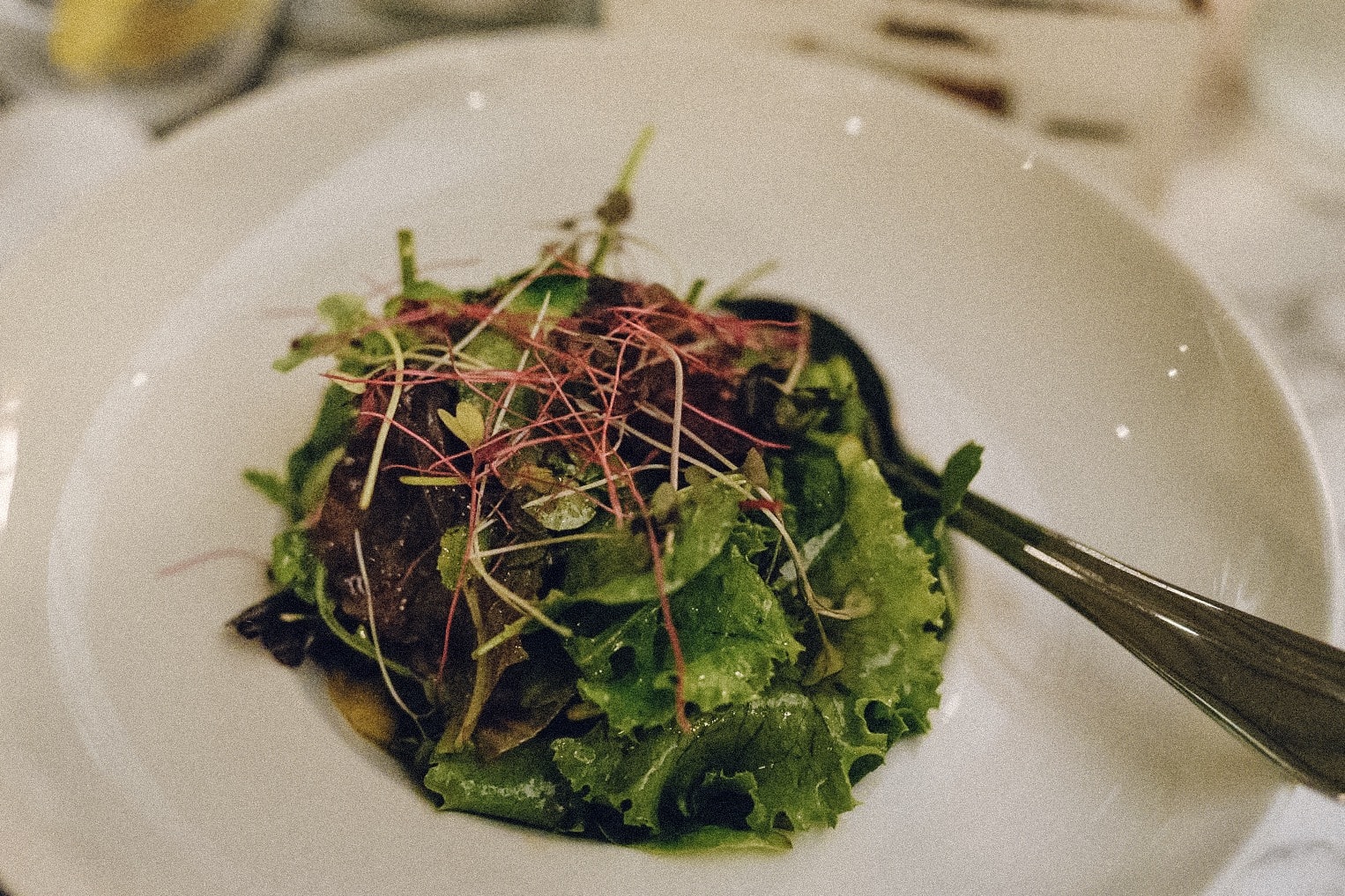 things to do in Thessaloniki, food to try in Thessaloniki, best time to visit thessaloniki, how to get to thessaloniki from the airport, how to get to thessaloniki, Antigon Urban Chic Hotel