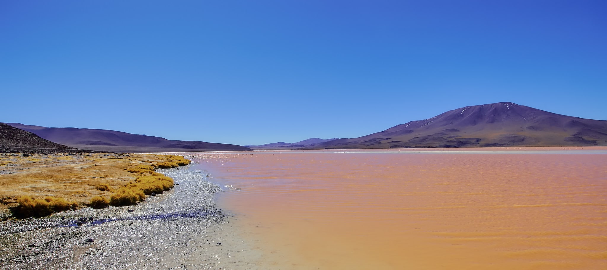 backpacking Bolivia, things to do in Bolivia, food to try in Bolivia, best time to visit Bolivia, Plces to visit in Bolivia, Laguna Colorado in Bolivia