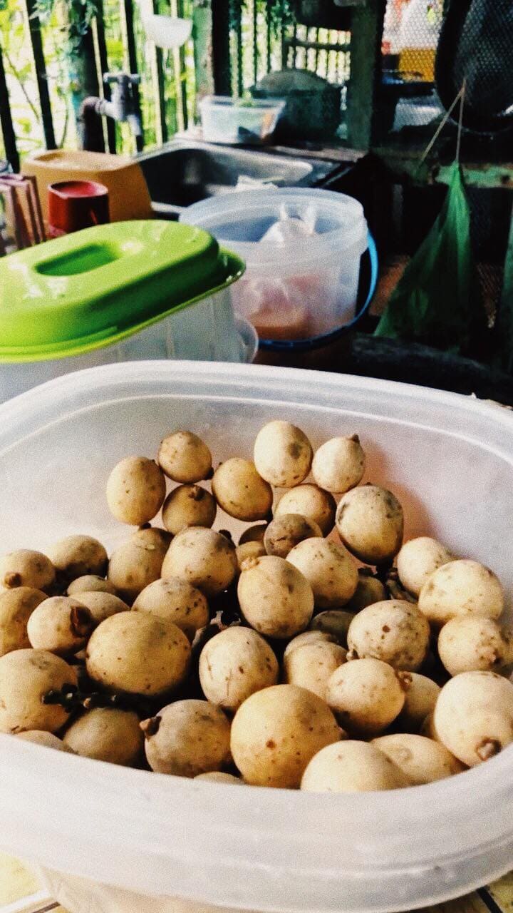 Philippine Fruits: 25 Best Fruits in the Philippines to Try 5 national fruit of the philippines, philippine fruits, filipino fruits, fruits in the philippines, How to get to Camiguin, camiguin tourist spots, things to do in Camiguin, Camiguin travel guide, where to sleep in Camiguin, food travel budget in Camiguin, Daily travel budget in Camiguin, Lanzones in Camiguin