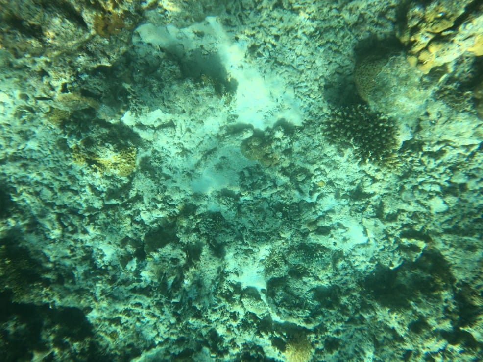 10 Most Instagrammable Places in El Nido 9 Top intagrammable places in El Nido | Pinagbuyutan Island