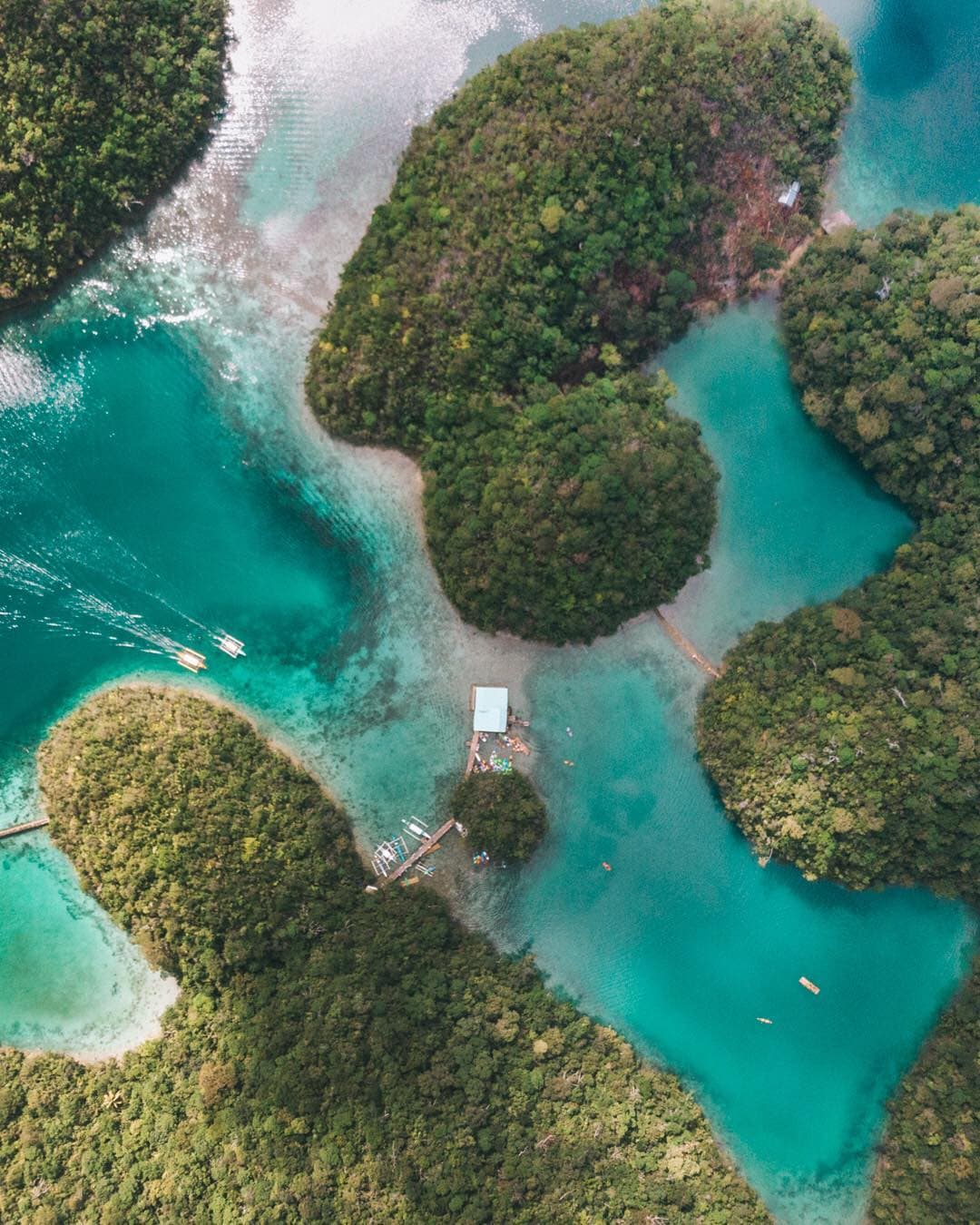 46261733 526640087822111 7731062537978377603 n