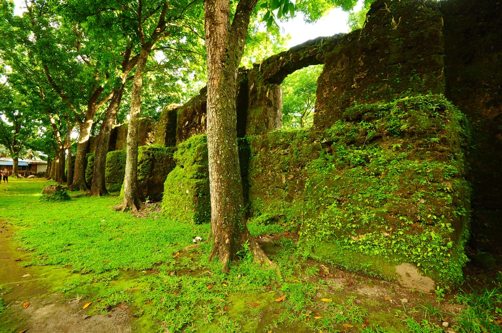 5913280859 7ee7266f3b o