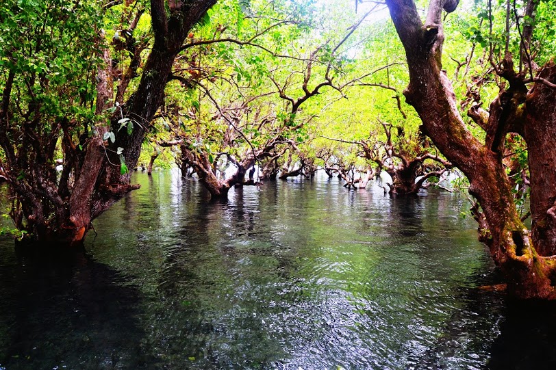 Lovers secret bridge, Katunggan Park