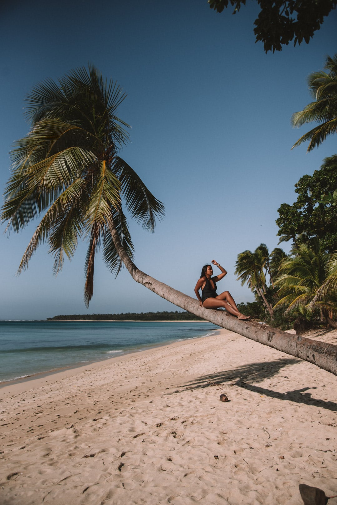 things to do in Pagudpud, climbing a palm tree