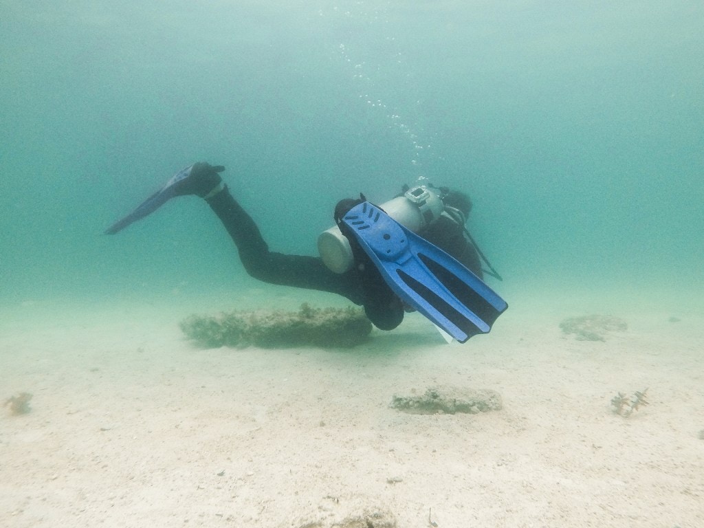 diving in the Philippines, diving in port barton, diving in Puerto Galera