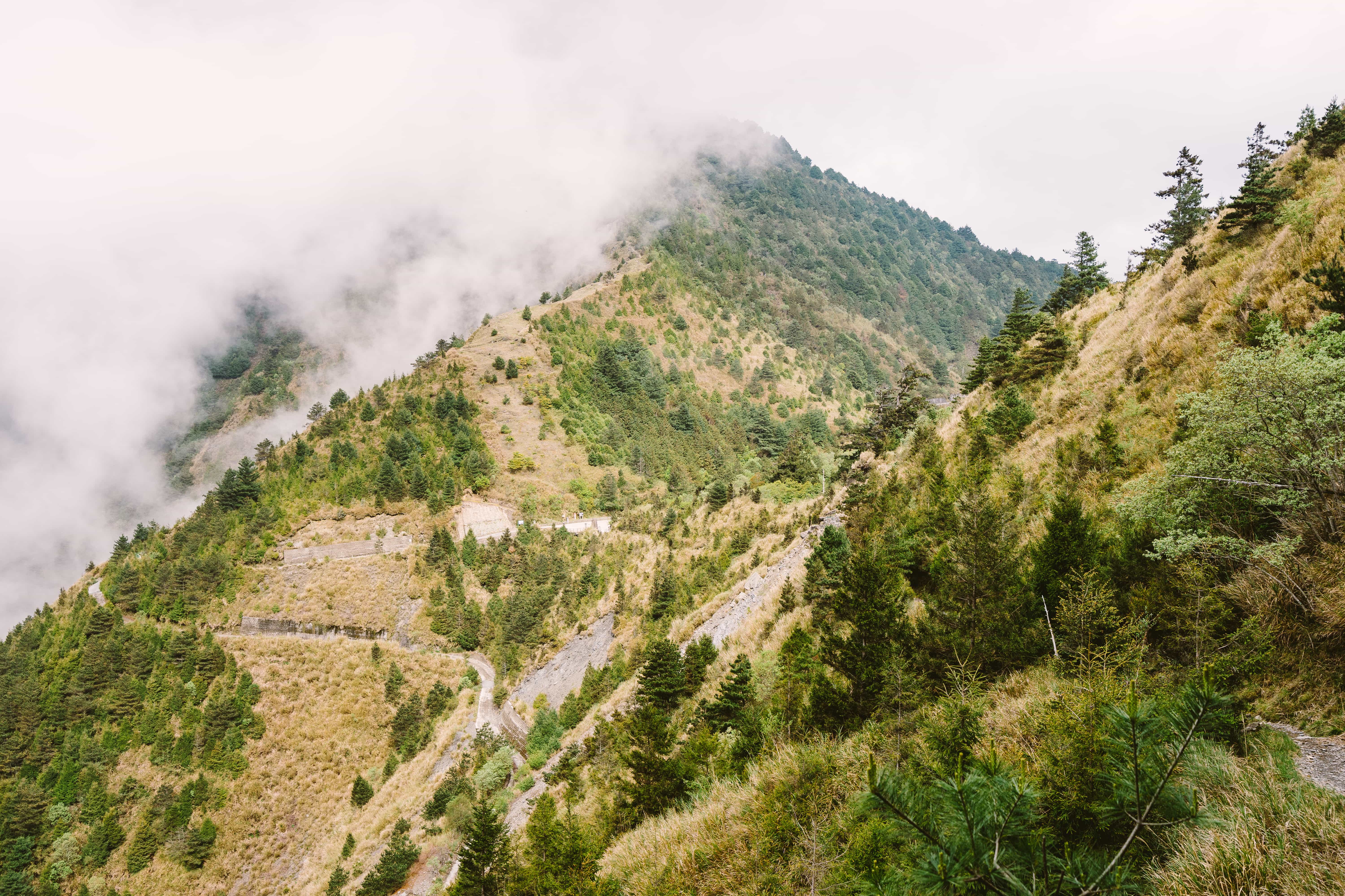Yushan Hiking Trail, Yushan National Park, Taiwan tourist spots