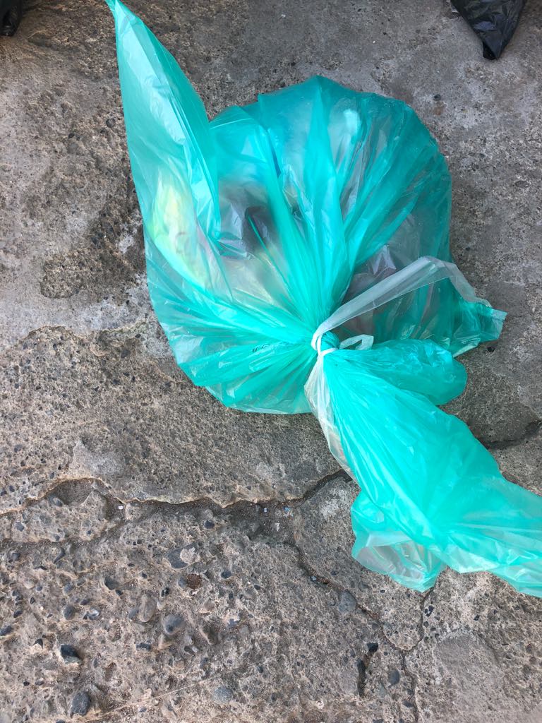 pilgrimage island, 100 islands, hundred islands tour, what to do in Hundred Islands, Hundred islands, Hundred islands Natural Park, Hundred Islands Travel Guide, collecting trash in hundred islands