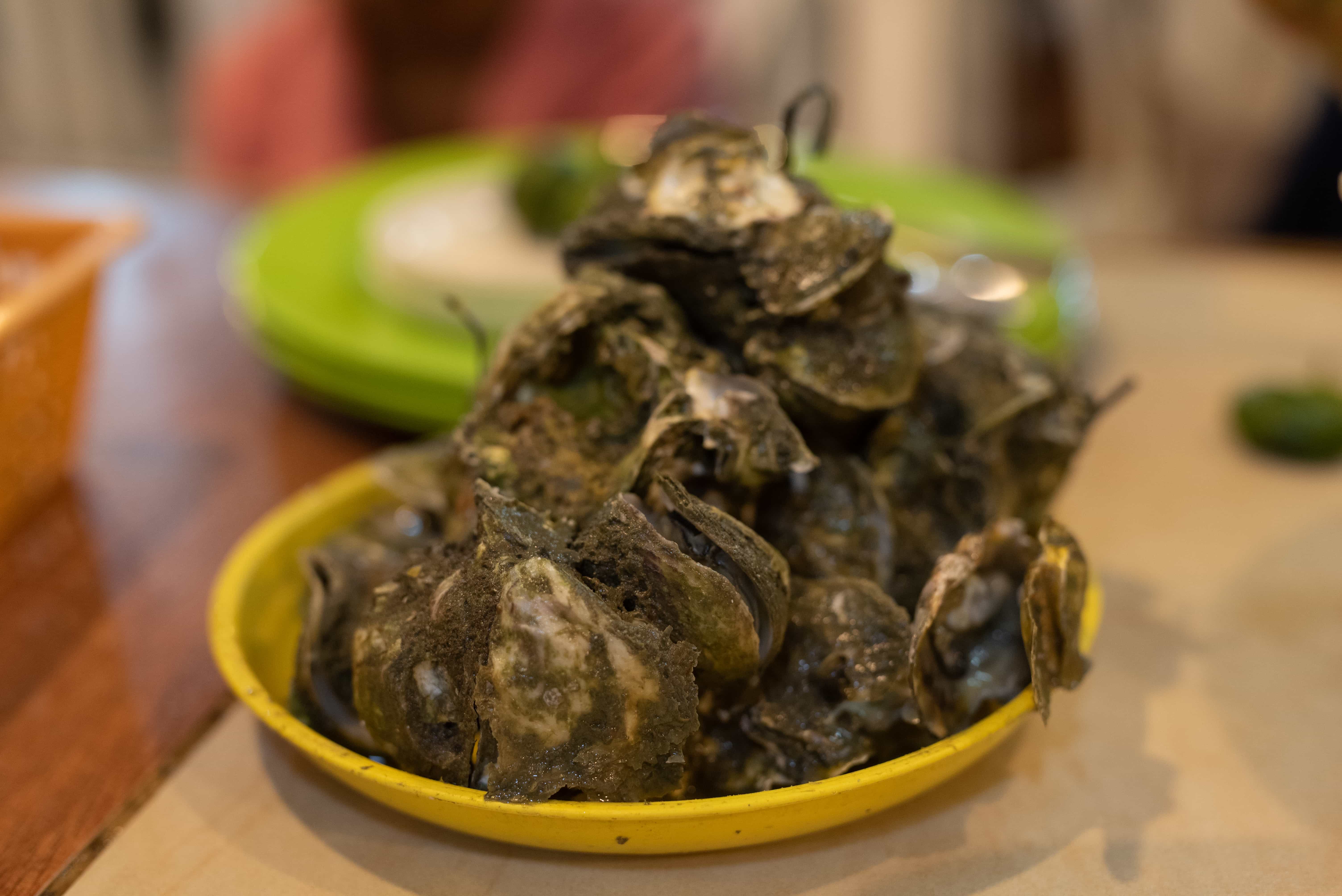 21 Best Iloilo Tourist Spots and Things To Do in Iloilo (Travel Guide) 28 seafood in iloilo, things to do in bacolod, bacolod tourist spots, hotels in bacolod city, best time to visit Bacolod city, Oyster in Bacolod City