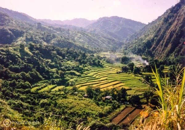  things to do in La Union, La Union tourist spots,Bolikewkew Rice Terraces