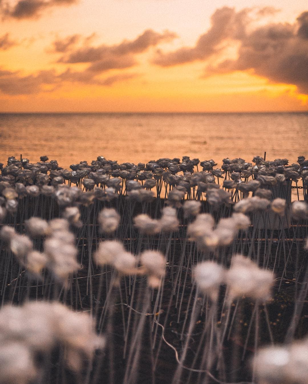 where to stay in La union, la union tourist spots, thunderbird resort, La Union travel guide