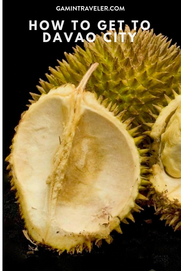 pin how to get to Davao 1