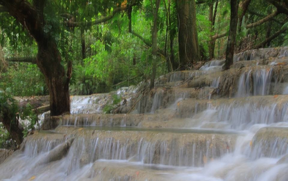 14681865 1225397017480420 8982289680627670016 n