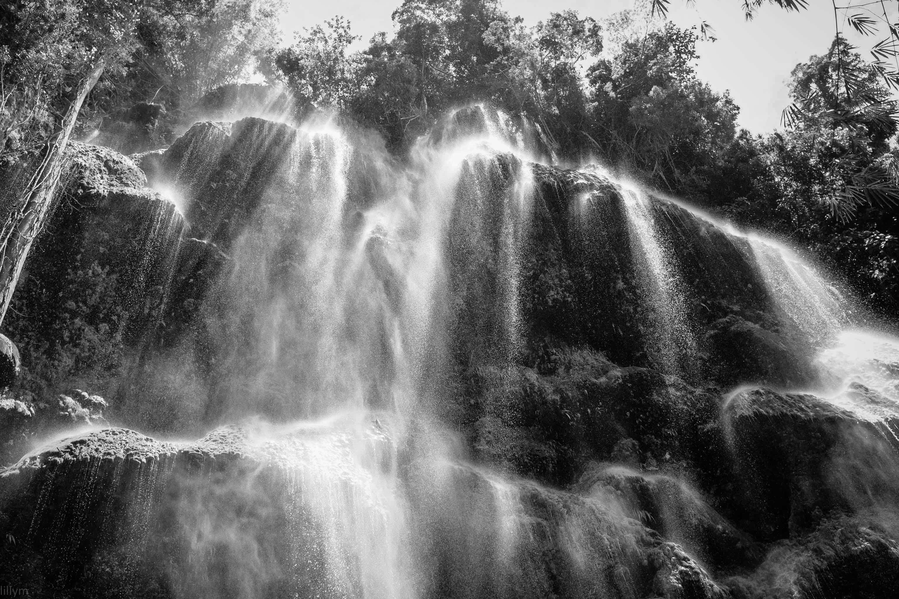 25527890824 ed07324dd8 o