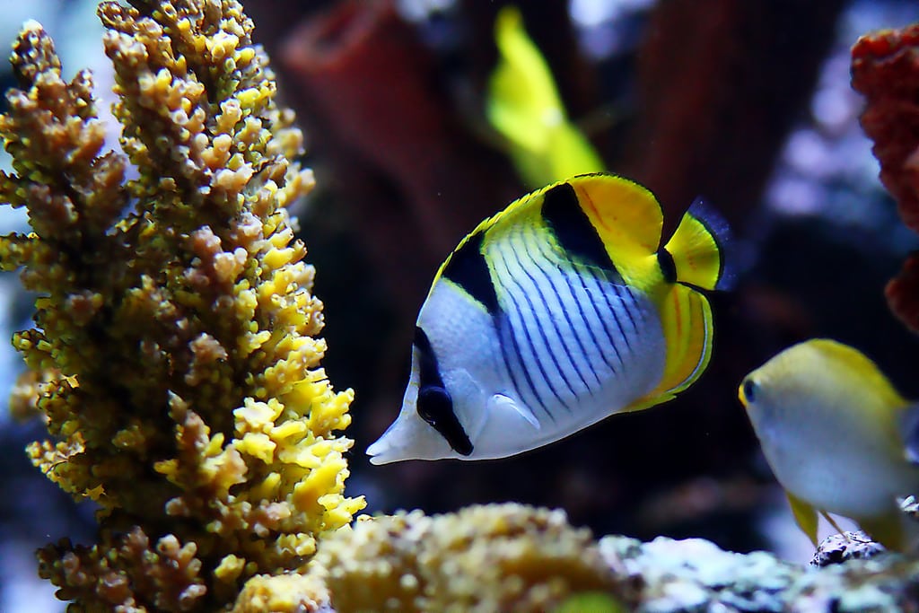 8664608555 1b66ec6e61 b