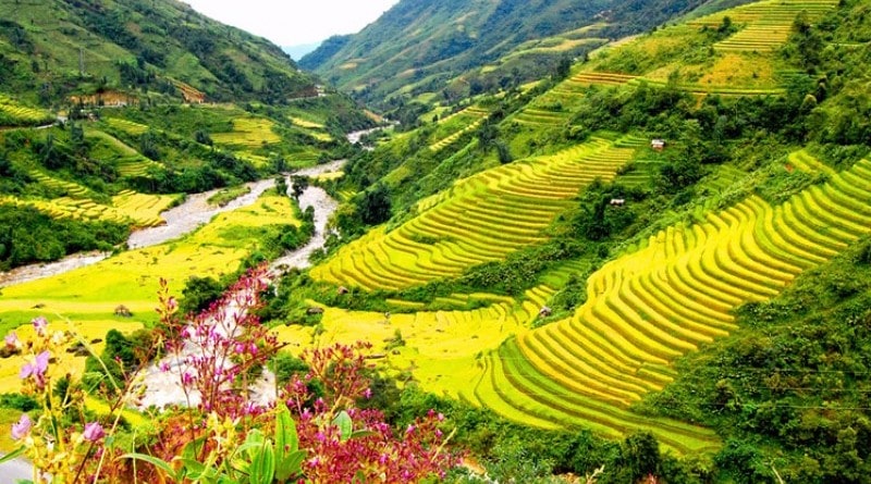 Sapa 800x580resize and crop and top