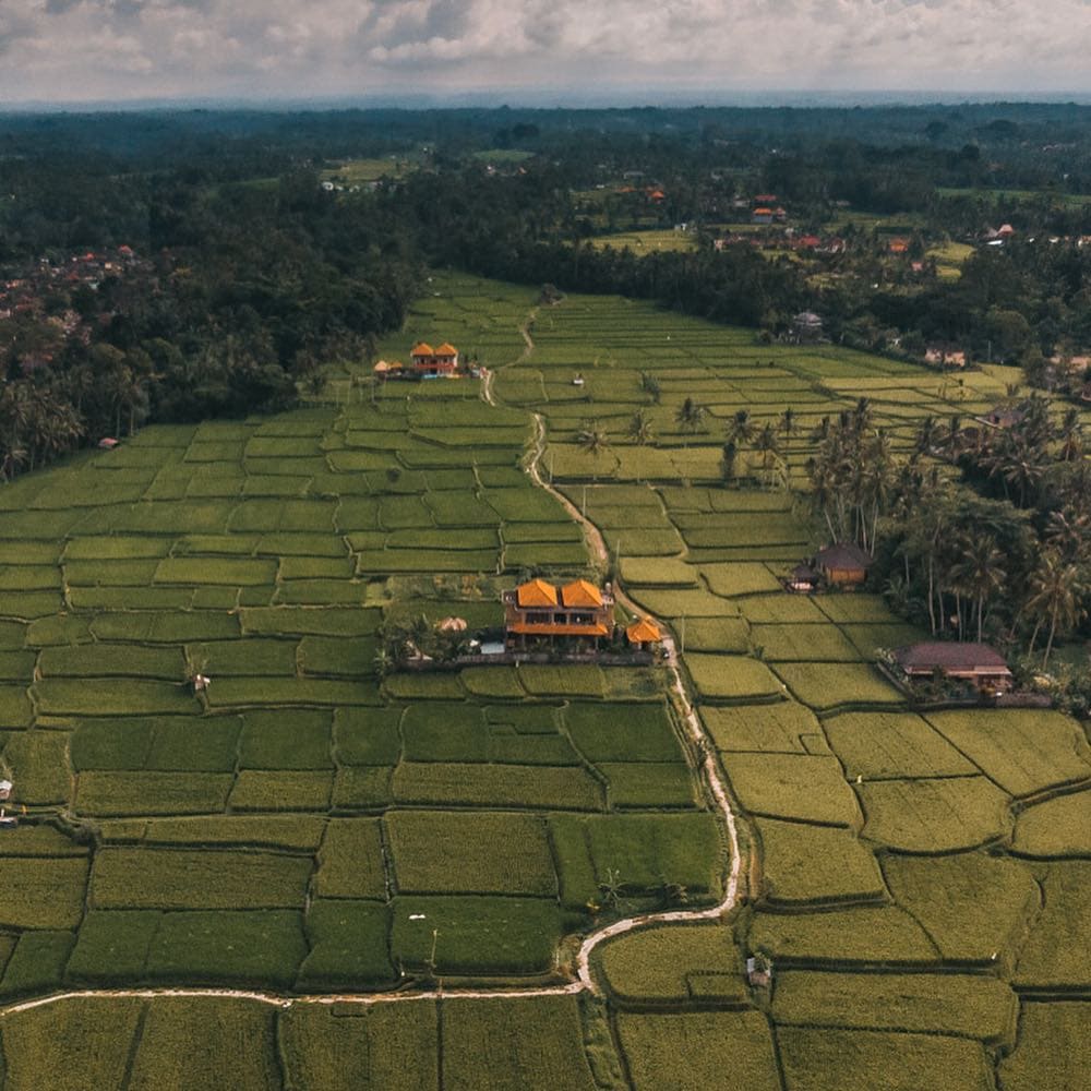 affordable luxury villas in Bali, Ubud, DIdori Villa, Affordable Family Villas in Ubud