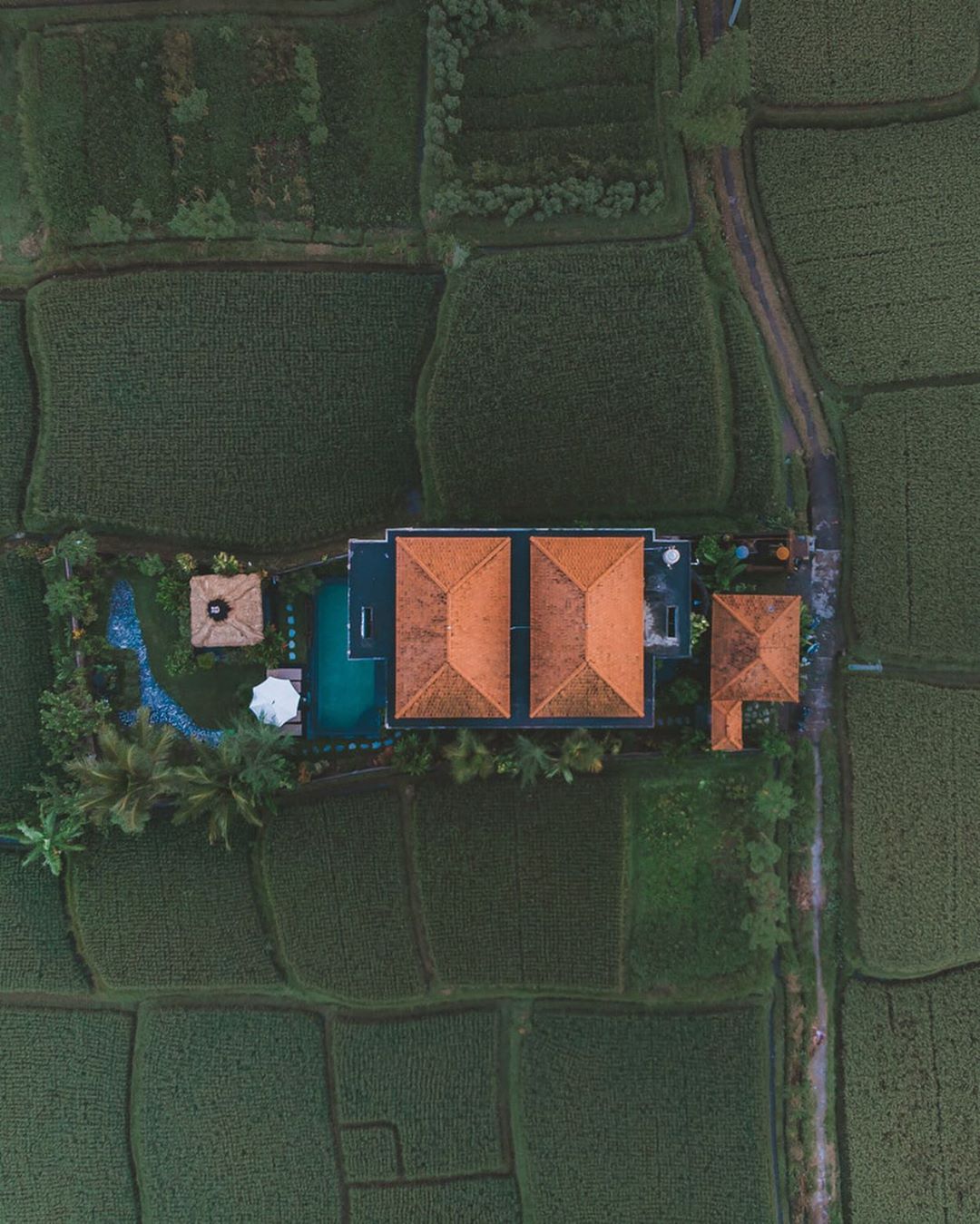 Affordable Family Villas in Ubud Bali 5 affordable luxury villas in Bali, Ubud, DIdori Villa, Affordable Family Villas in Ubud