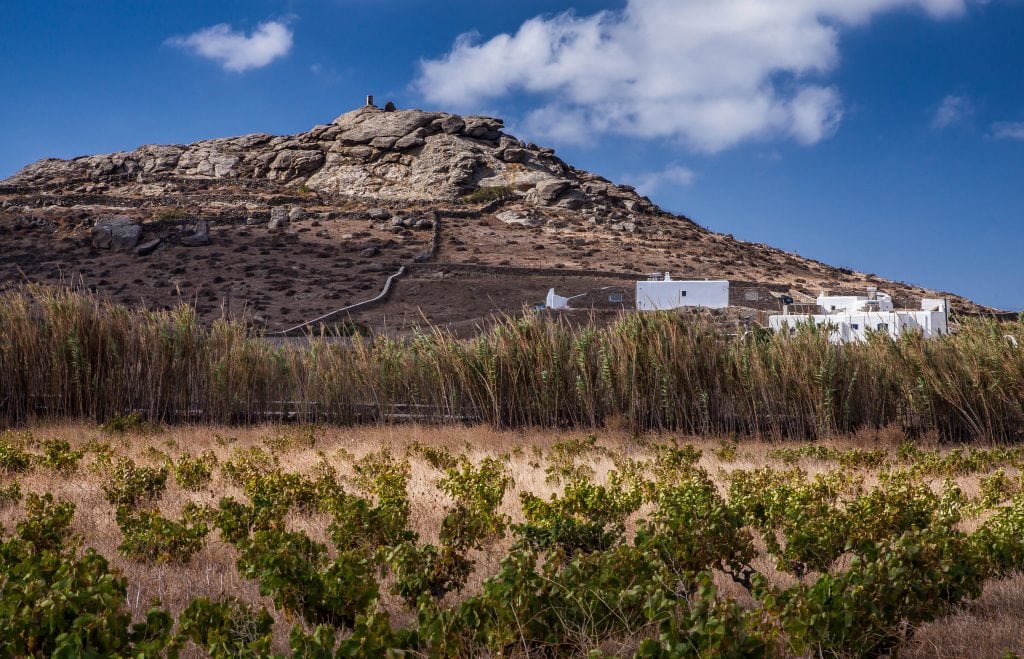 43383291855 24a99d01b4 o 1