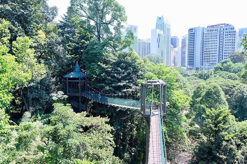 Instagrammable places in Kuala Lumpur, Forest Eco Park Kuala Lumpur