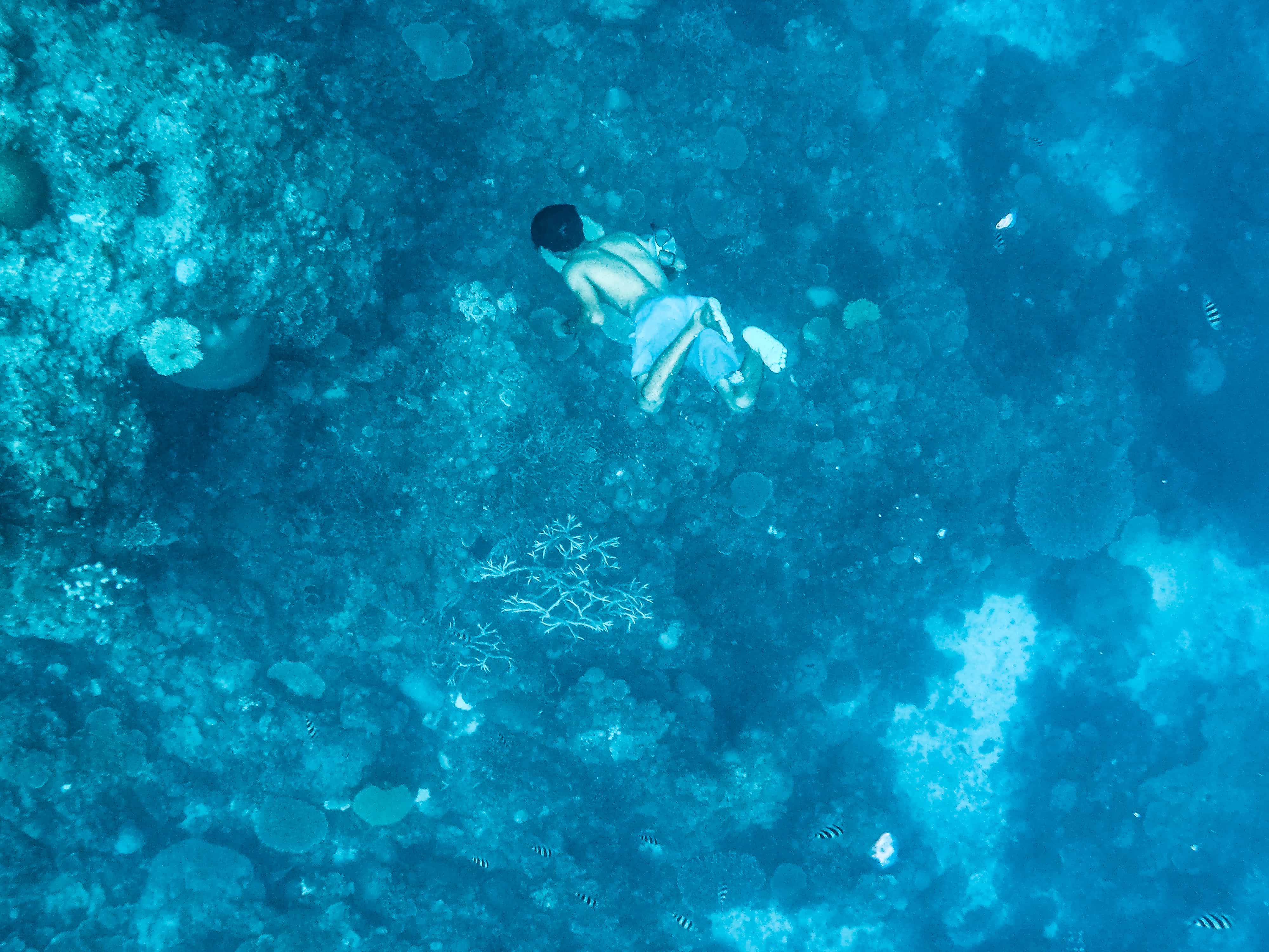 snorkeling in the philippines, el nido tourist spots, el nido travel guide