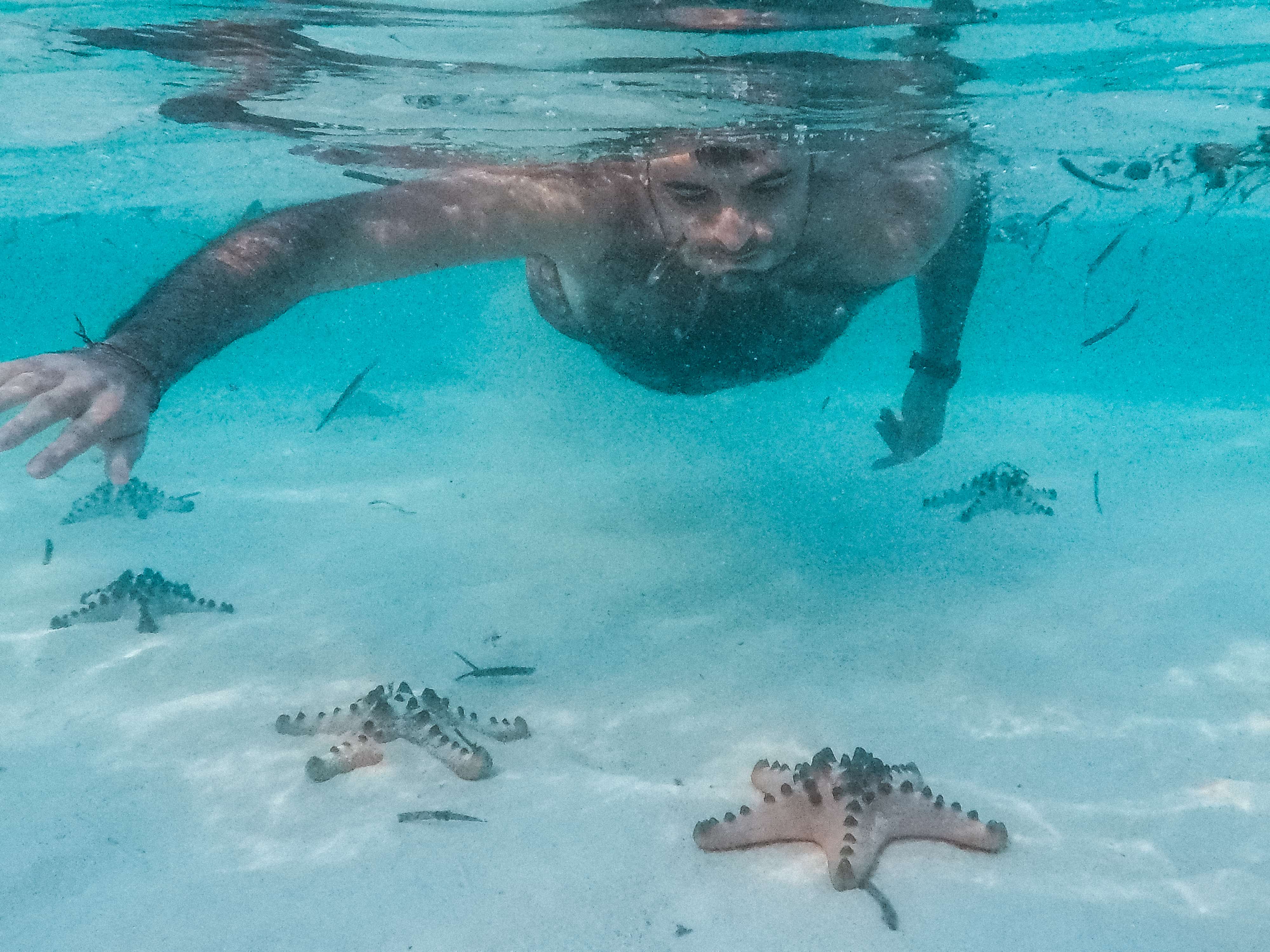 snorkeling in Balabac, things to do in Balabac, Balabac travel guide