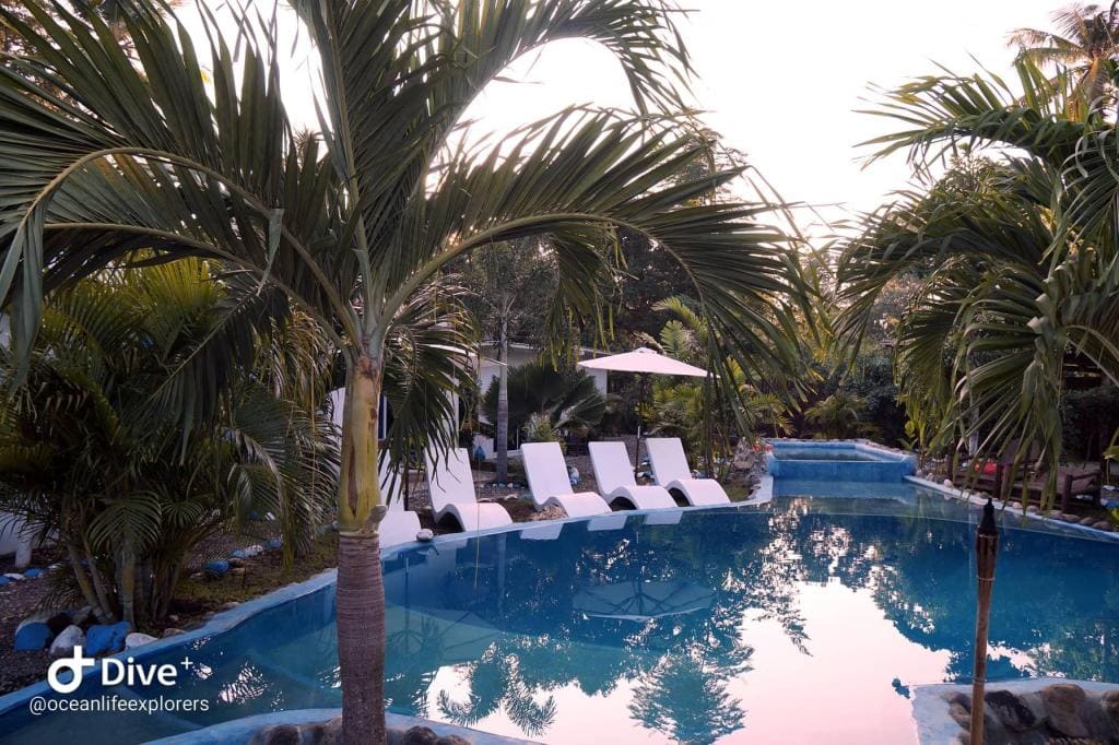Oceanlife Explorers Dive Resort, resorts in siquijor