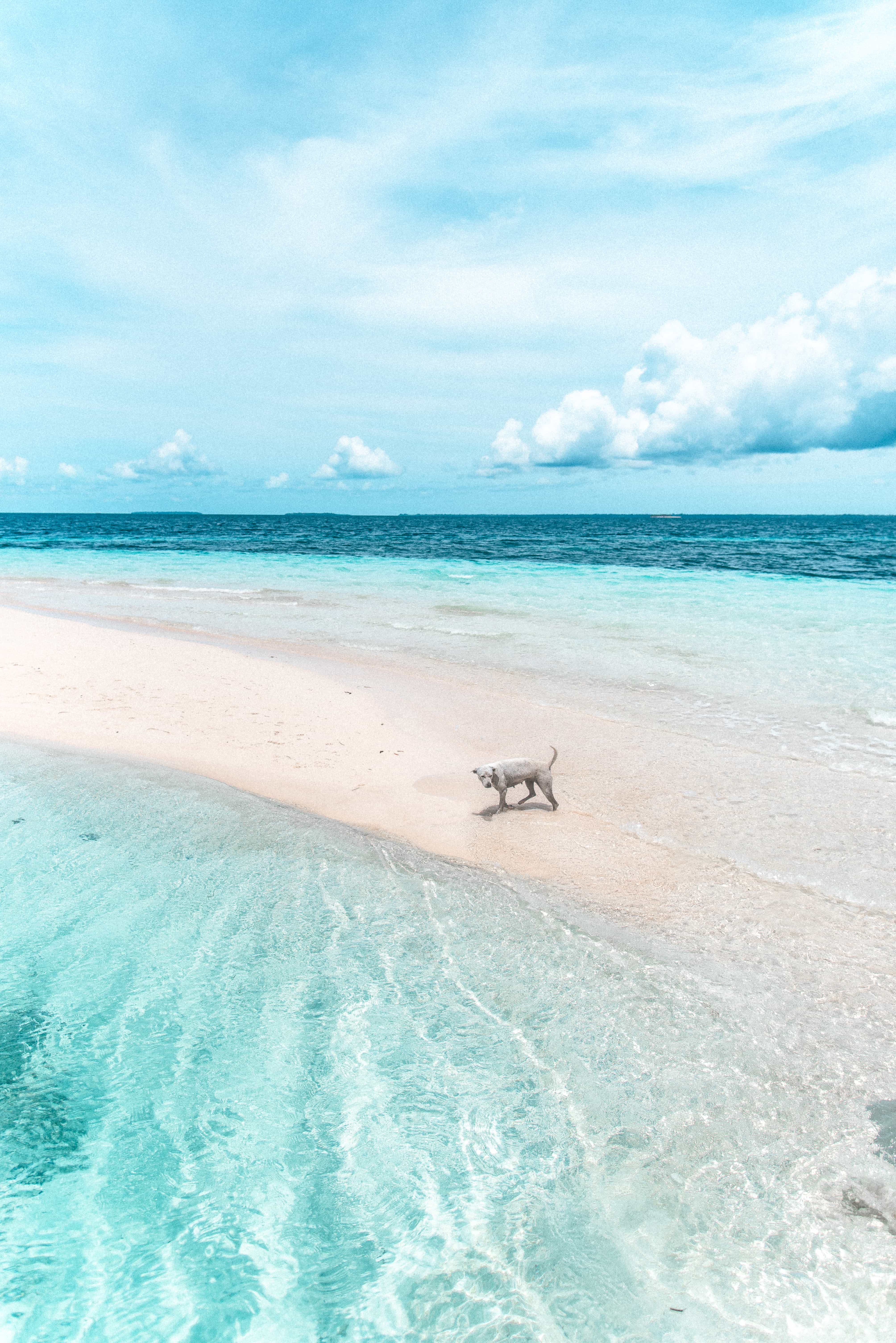 Balabac travel guide, island hopping in Balabac, things to do in Balabac, how to get to Balabac, Tangkahan, 