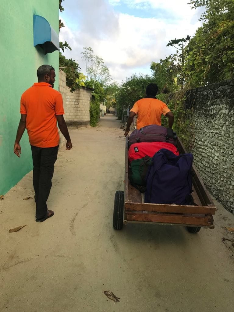 67085748 1147139435494327 6717695370568138752 n