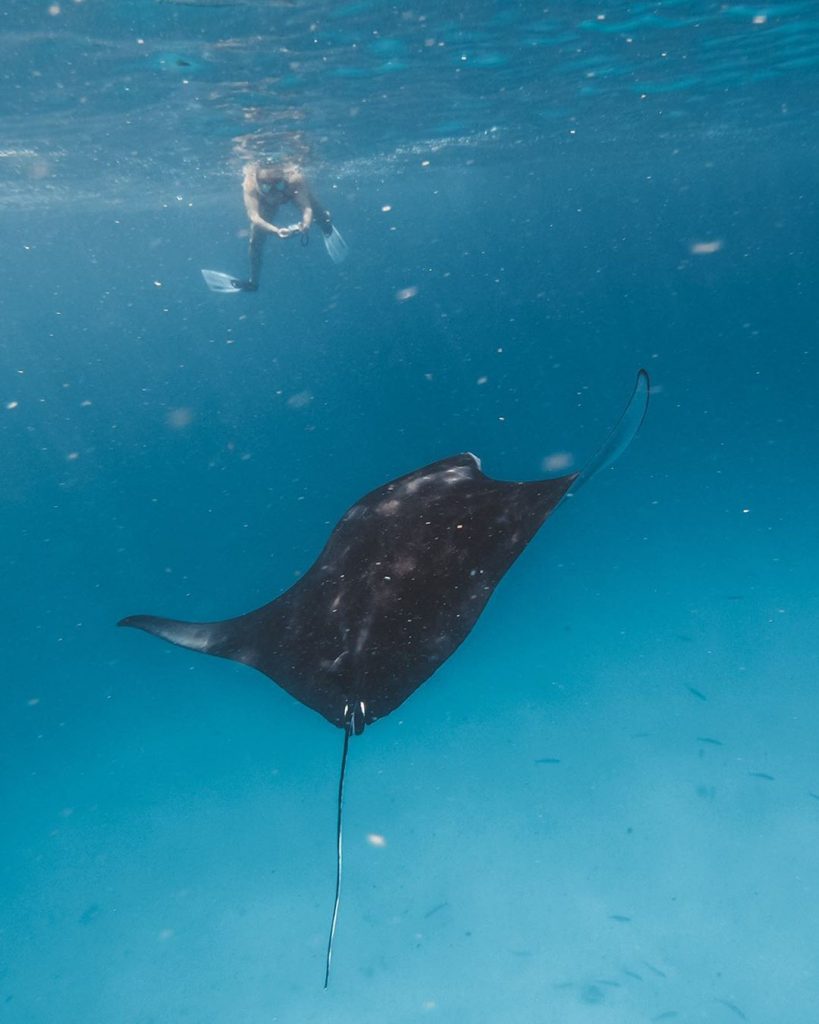 local islands in Maldives, Omadhoo island, how to get to Omadhoo island, Omadhoo island, things to do in Omadhoo island, Omadhoo island travel guide, where to stay in Omadhoo island , snorkeling in Omadhoo island