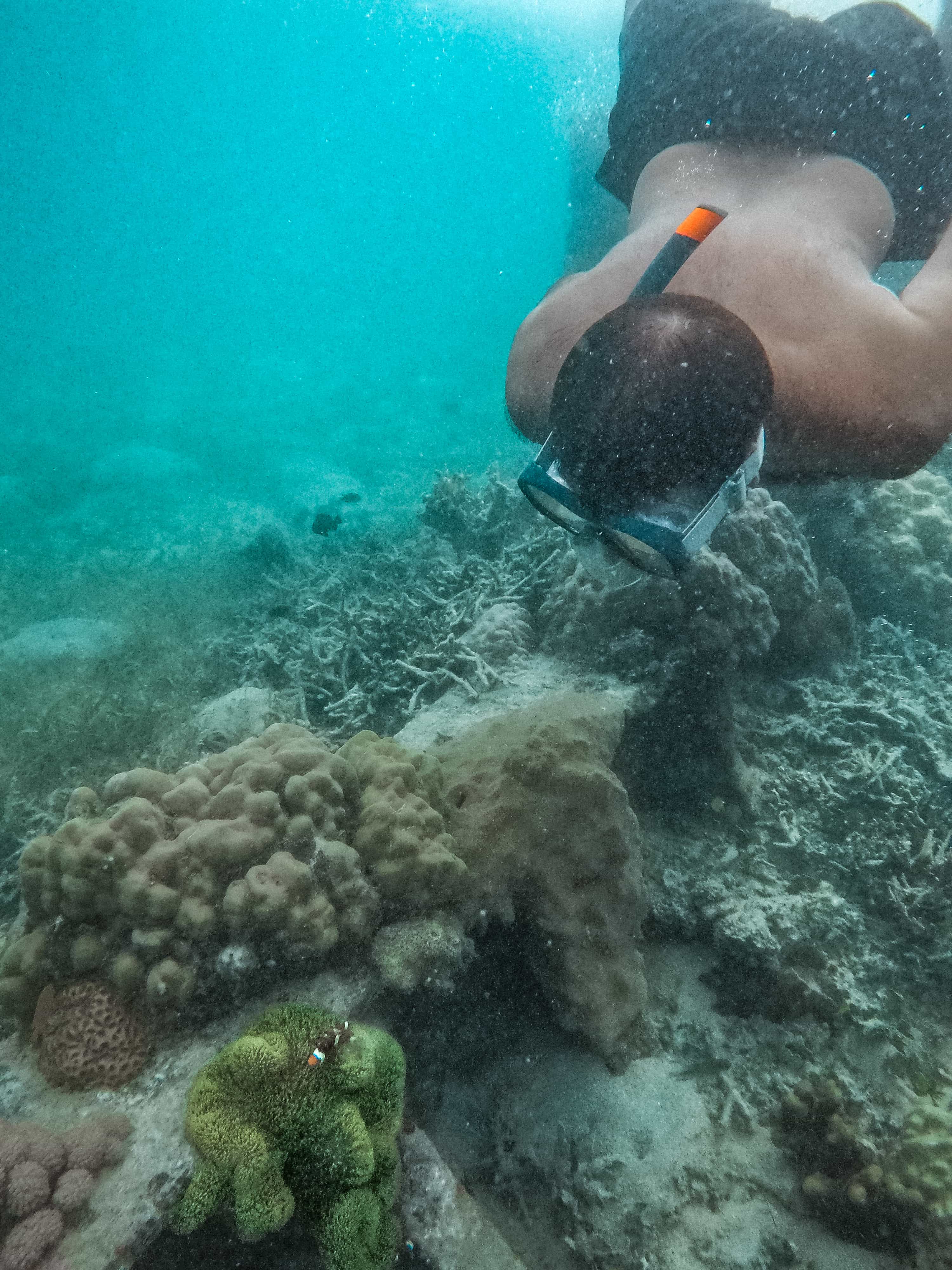 Coron tourist spots, Coron travel guide